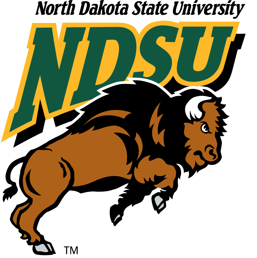 North Dakota State Bison 1999-2012 Primary Logo iron on transfers for T-shirts